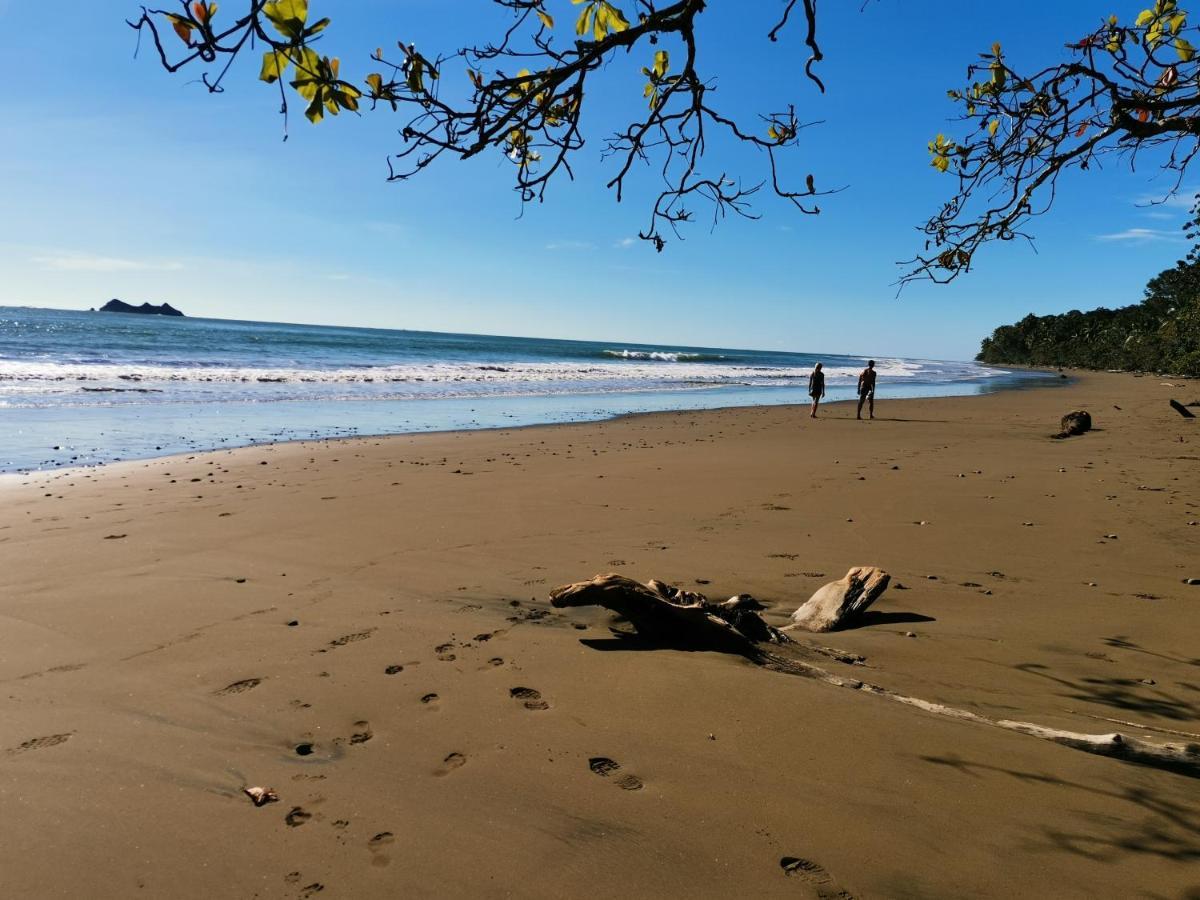 Elan At Ballena Beach Uvita Buitenkant foto